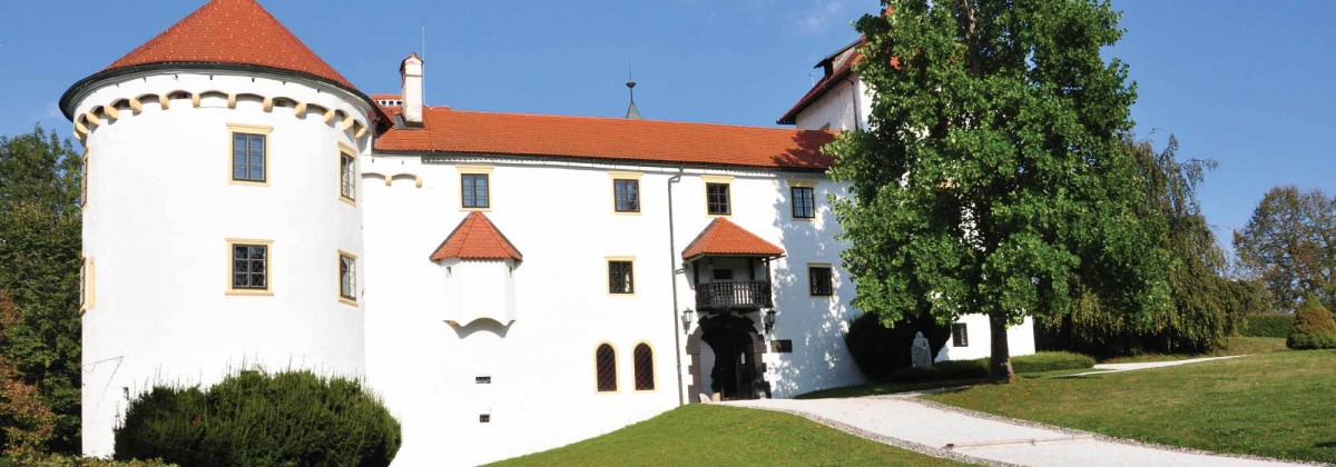 Bogenšperk Castle